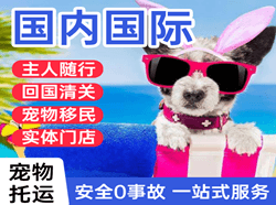 成都双流航空快运国际宠物托运 【国